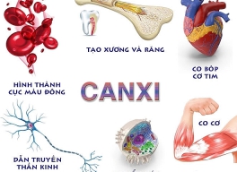 Vai trò của CANXI đối với cơ thể con người.