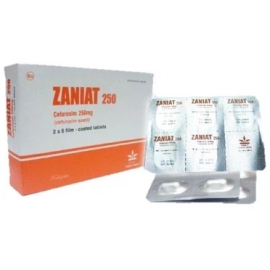 Thuốc Zaniat 250mg Vidipha điều trị nhiễm khuẩn đường hô hấp (2 vỉ x 5 viên)