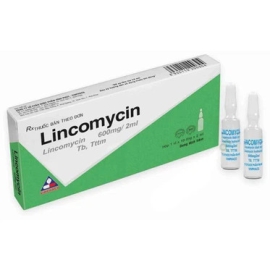 Thuốc tiêm Lincomycin Vinphaco điều trị trường hợp nhiễm khuẩn (10 ống)