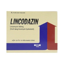 Thuốc Lincodazin 500mg Vidipha điều trị các bệnh nhiễm khuẩn (10 vỉ x 10 viên)