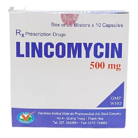 Thuốc Lyncomycin 500mg Thanh Hoá hỗ trợ điều trị nhiễm khuẩn (20 vỉ x 10 viên