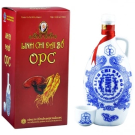 Thuốc Linh Chi Đại Bổ OPC bồi bổ cơ thể, điều trị suy nhược thần kinh (500ml)