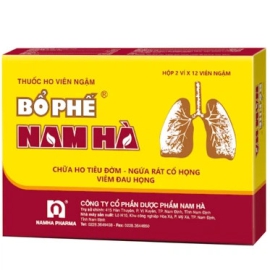 Thuốc ngậm ho Bổ Phế Nam Hà tiêu đờm, bổ phổi, sát trùng họng (2 vỉ x 12 viên)