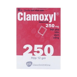 Bột pha hỗn dịch uống Clamoxyl 250mg Gsk hỗ trợ điều trị nhiễm khuẩn (12 gói)